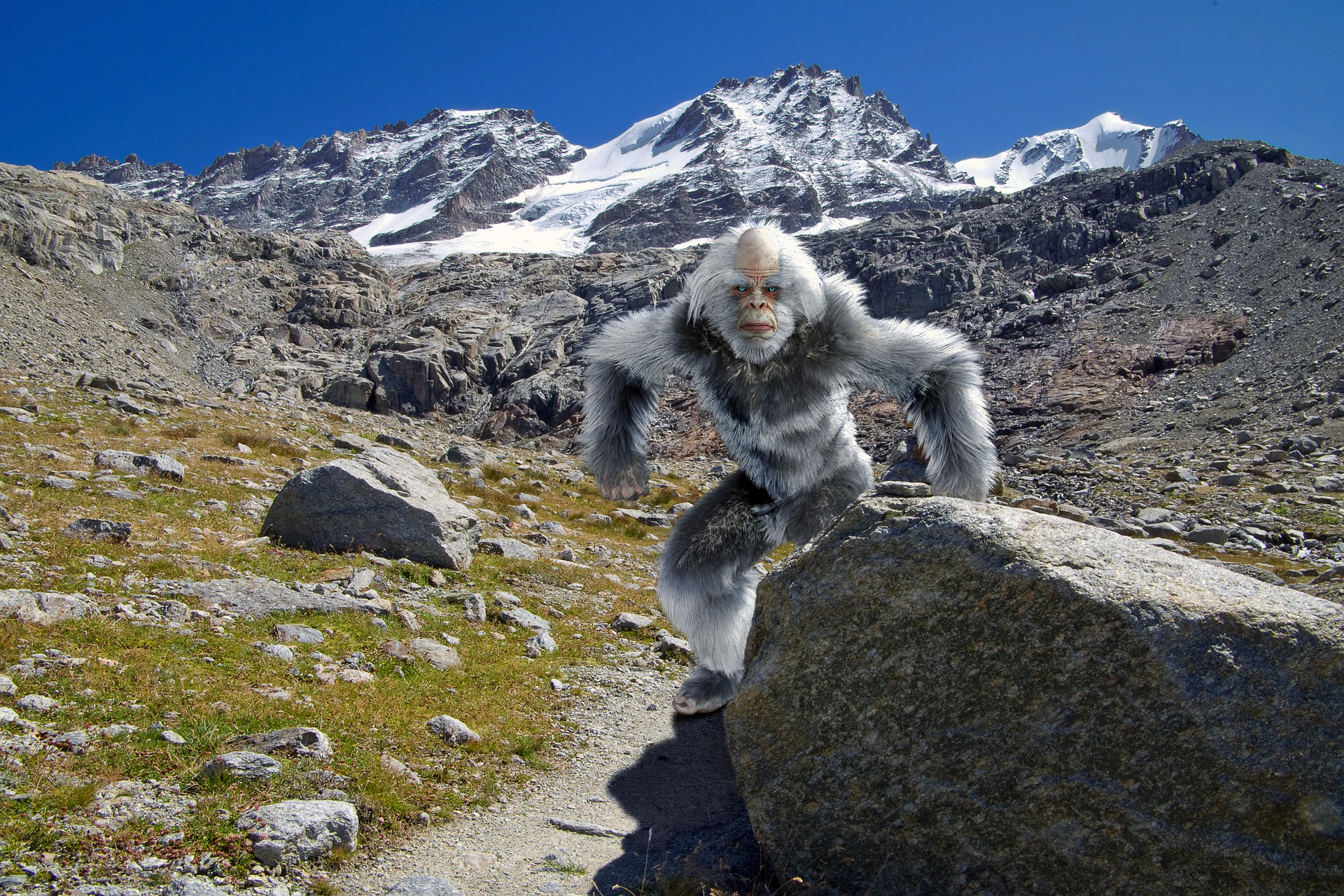 yeti 6233039 1920